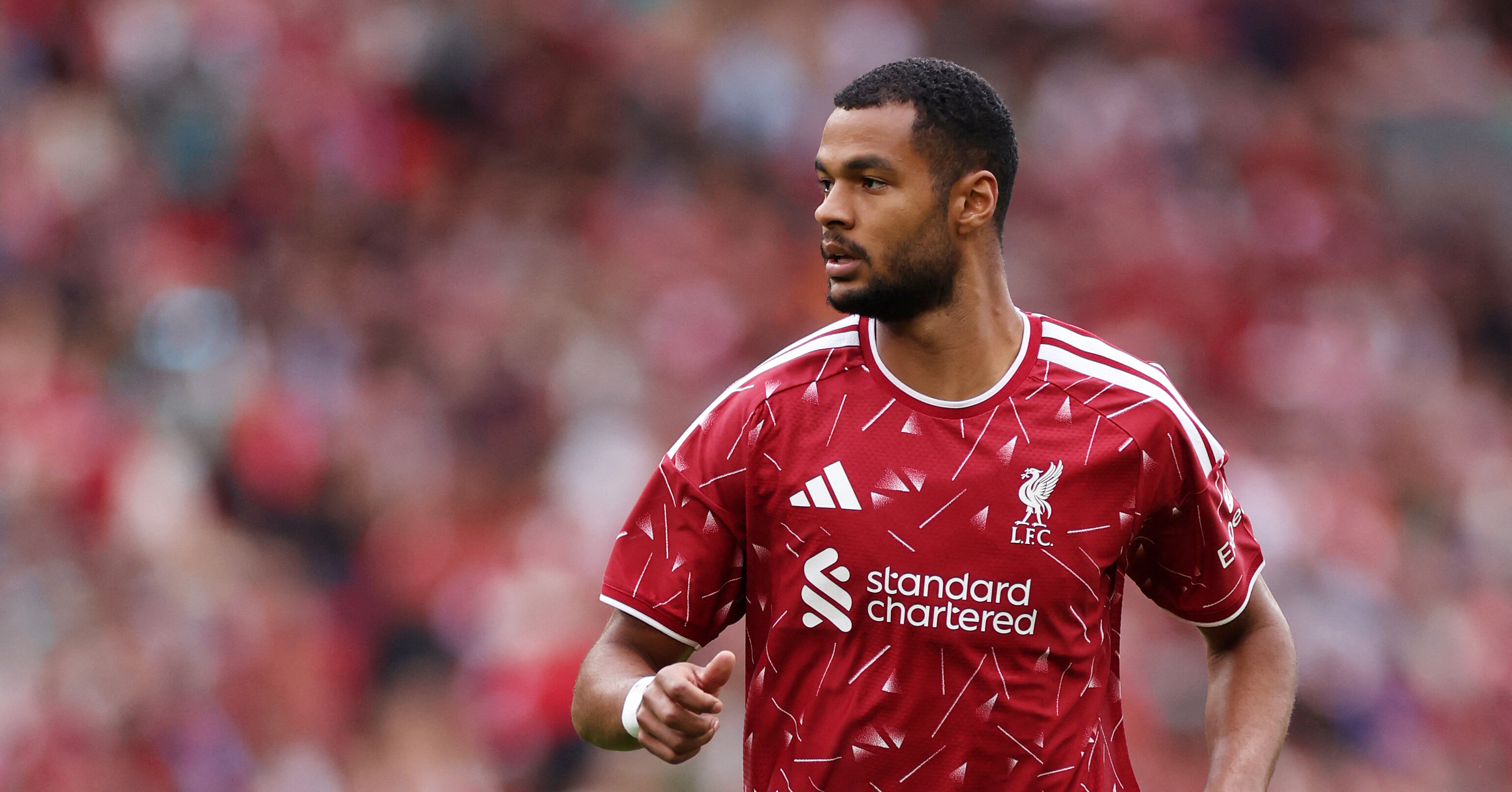 Manchester City and Tottenham Target Liverpool Winger Cody Gakpo - News Directory 3